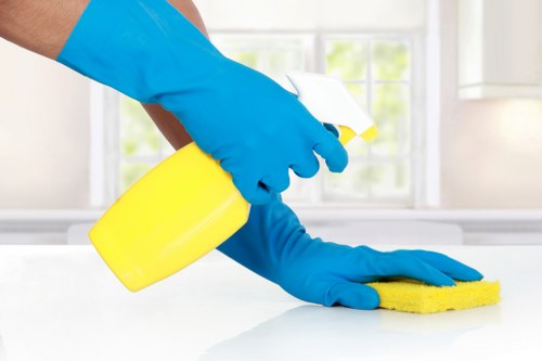 Deep cleaning methods for pet odour removal