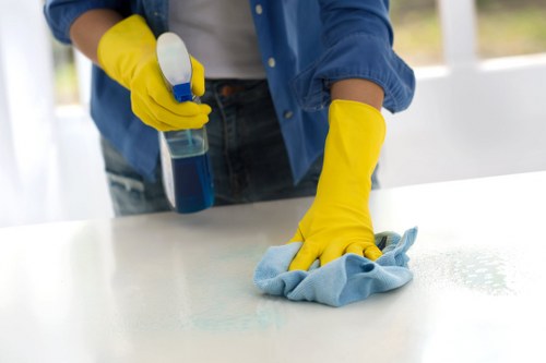Technician demonstrating insured carpet cleaning safety procedures in Clerkenwell